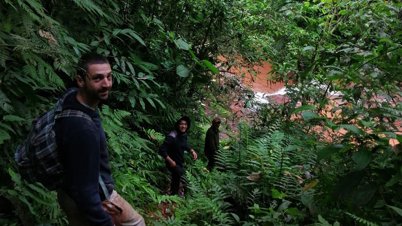 Amazzonia - Guglielmo Rapino