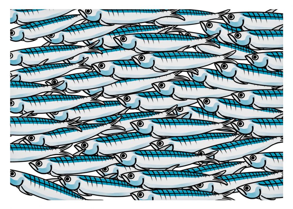 Movimento delle Sardine.