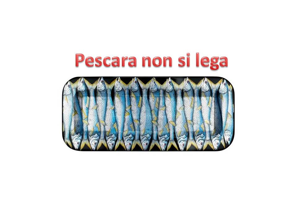 Manifestazione delle Sardine a Pescara