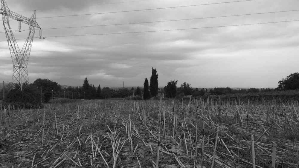 Sopravvivere senza soccombere - Aware