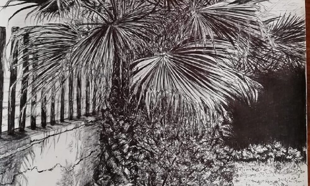 Palma di Carlo Bertolino