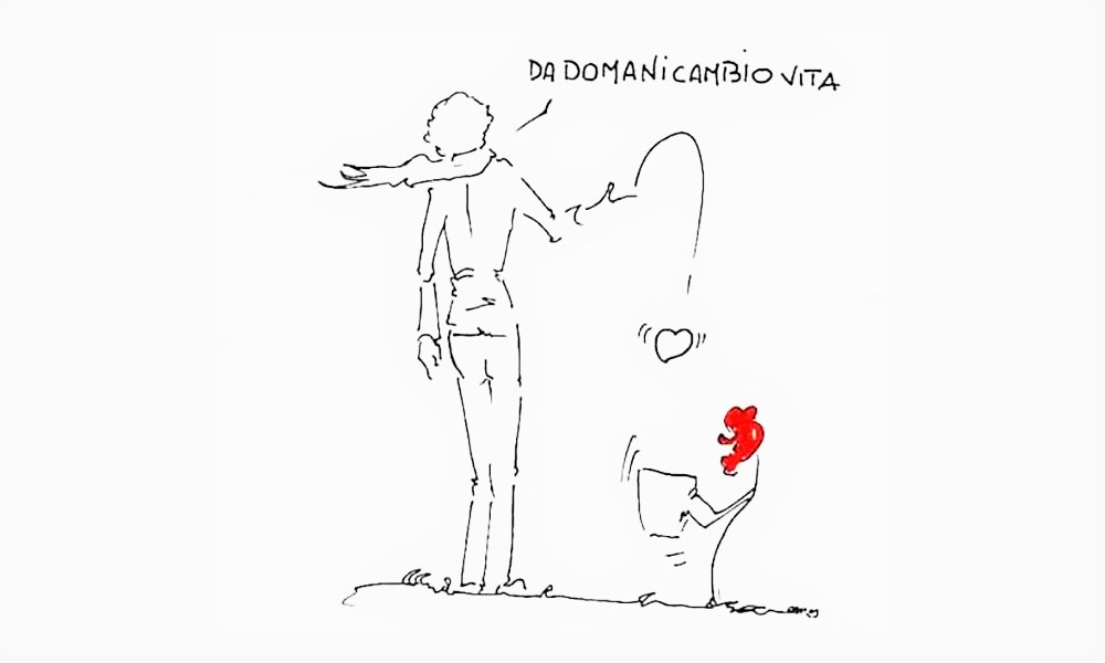 Cadica